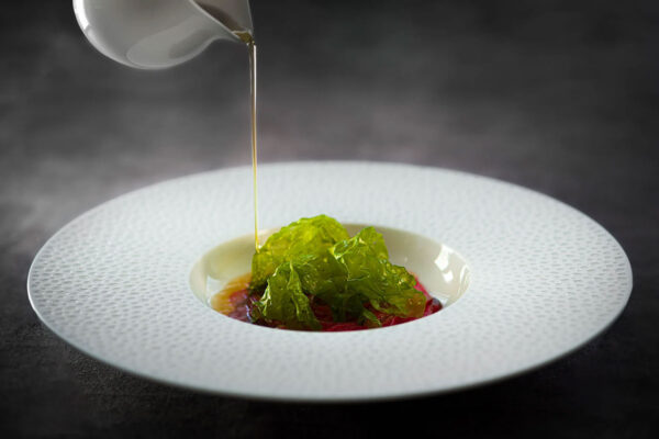 gallery-the-sense-14