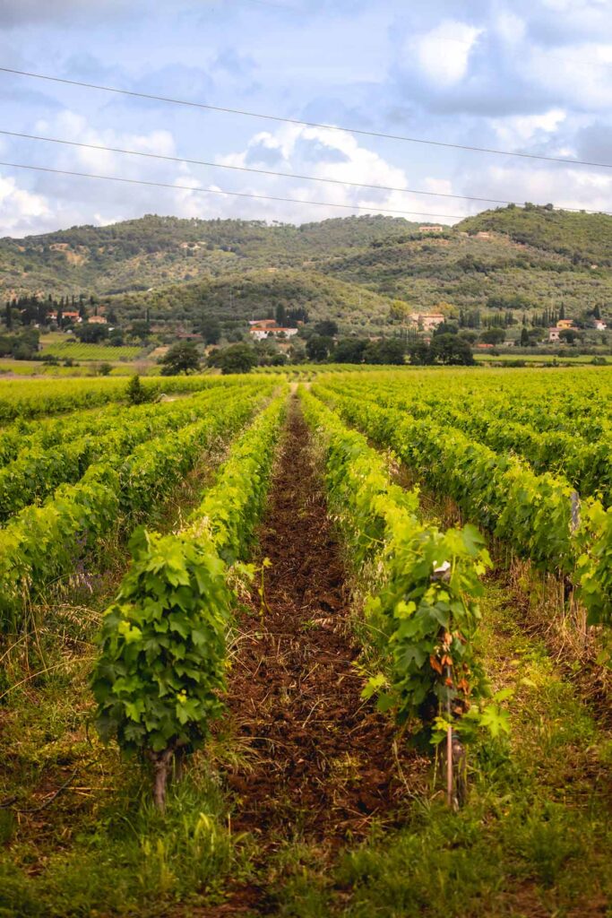 tua-rita-esperienza-the-sense-DSC_9510